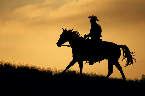 Are cowboy boots the best boots?